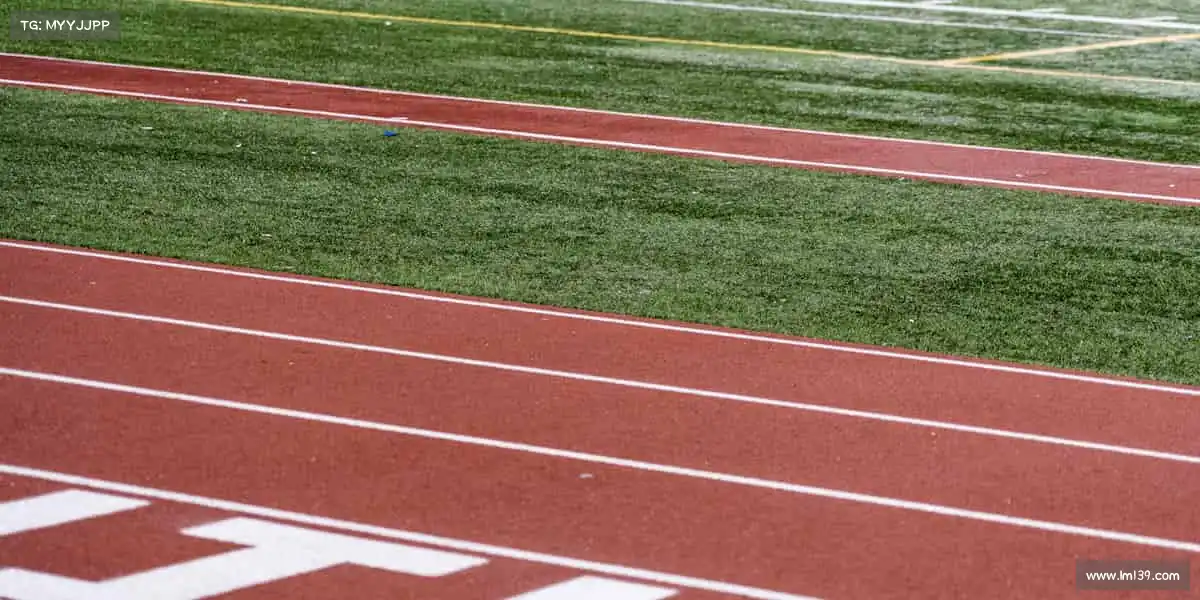 世界杯官网入口🎾挥动球拍,击出精彩!在体育的战场上,做自己的冠军!